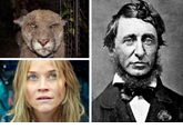 Cougar, Witherspoon, Thoreau